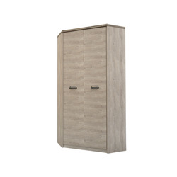 Шкаф угловой «Дизель» 2D двухстворчатый